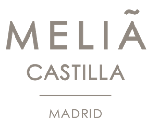 MELIA CASTILLA 
